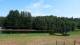 Le Chambon-sur-Lignon Di. 11.8.