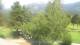 Barcelonnette Mi. 12.8.