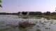 Les Landes-Genusson Mi. 12.8.