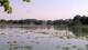 Les Landes-Genusson Do. 13.8.