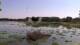 Les Landes-Genusson Do. 13.8.