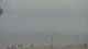 Scheveningen Sa. 15.8.