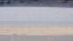 Henne Strand Sa. 15.8.