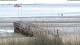Wyk auf Föhr Sa. 15.8.