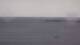 Saint-Jean-de-Luz So. 16.8.