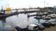Delfzijl So. 16.8.