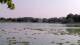 Les Landes-Genusson So. 16.8.