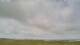 Carinish So. 16.8.