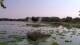 Les Landes-Genusson So. 16.8.