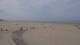 Berck-sur-Mer So. 16.8.
