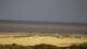 Borkum Mo. 17.8.