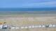 De Panne Mo. 17.8.