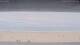 Henne Strand Di. 18.8.
