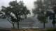 Rursee Di. 18.8.