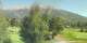 Barcelonnette Mi. 19.8.