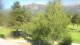 Barcelonnette Mi. 19.8.
