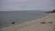 Carnac Mi. 19.8.