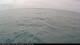 Wilmette, Illinois Mi. 19.8.