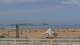 Essaouira Mi. 19.8.