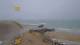 Gouville-sur-Mer Mi. 19.8.
