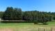 Le Chambon-sur-Lignon Mi. 19.8.