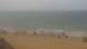El Palmar de Vejer Do. 20.8.
