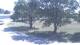 Goessel, Kansas Fr. 21.8.