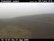 Festarfjall Fr. 21.8.