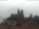 Breisach am Rhein Fr. 21.8.