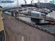 Fenit Fr. 21.8.