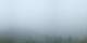 Rothwald Fr. 21.8.