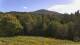 Shrewsbury, Vermont Fr. 21.8.