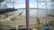 Brightlingsea Fr. 21.8.
