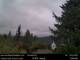 North Bend, Washington Sa. 22.8.