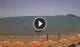 Formia Sa. 22.8.