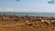 Bibione Sa. 22.8.