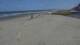 Westende So. 23.8.