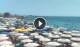 Torre Mozza So. 23.8.