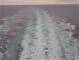 Costa Diadema So. 23.8.