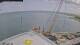 Norwegian Getaway So. 23.8.
