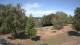 Steinbrunn So. 23.8.