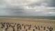 Norderney So. 23.8.