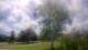 Harriman, New York So. 23.8.