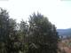 Gmund am Tegernsee Mo. 24.8.