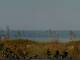 Cape Canaveral, Florida Mo. 24.8.