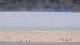 Henne Strand Mo. 24.8.