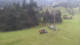 Oberjoch Mo. 24.8.