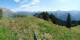 Braunwald Mo. 24.8.