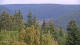 Bad Wildbad Mo. 24.8.
