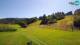 Bohinj Mo. 24.8.